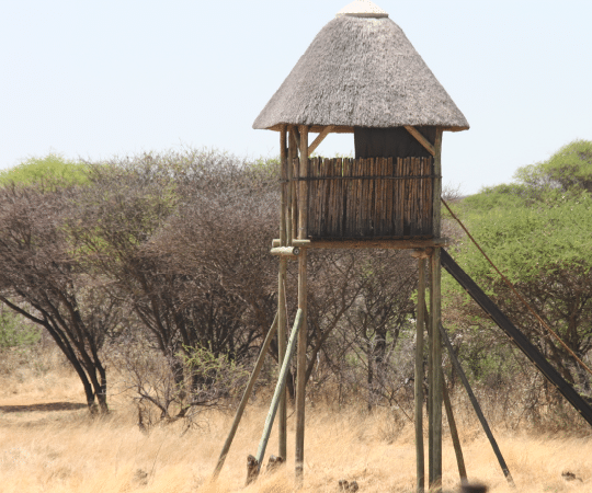 Popsicle Stick House